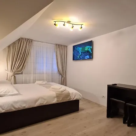 Pensiunea Madalina Guest house *
