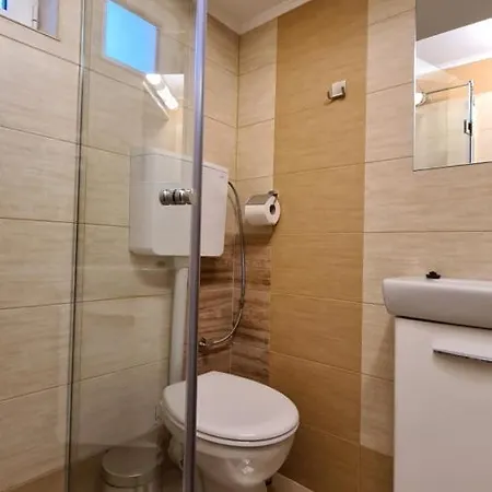 Pensiunea Madalina Guest house *