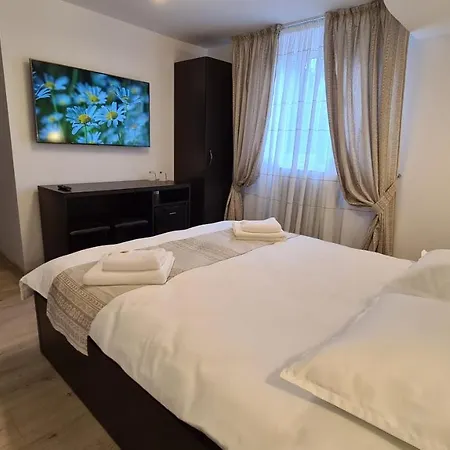 Pensiunea Madalina Guest house Durau