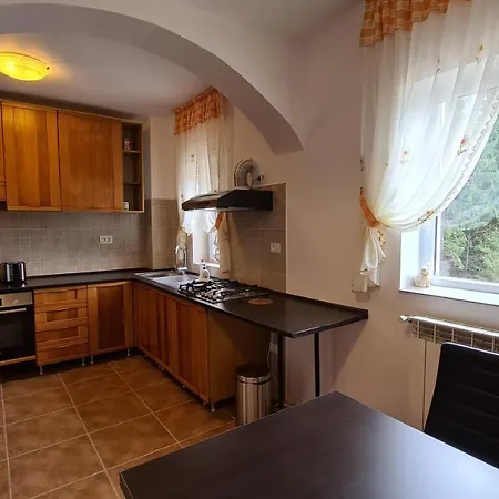 Pensiunea Madalina Guest house *